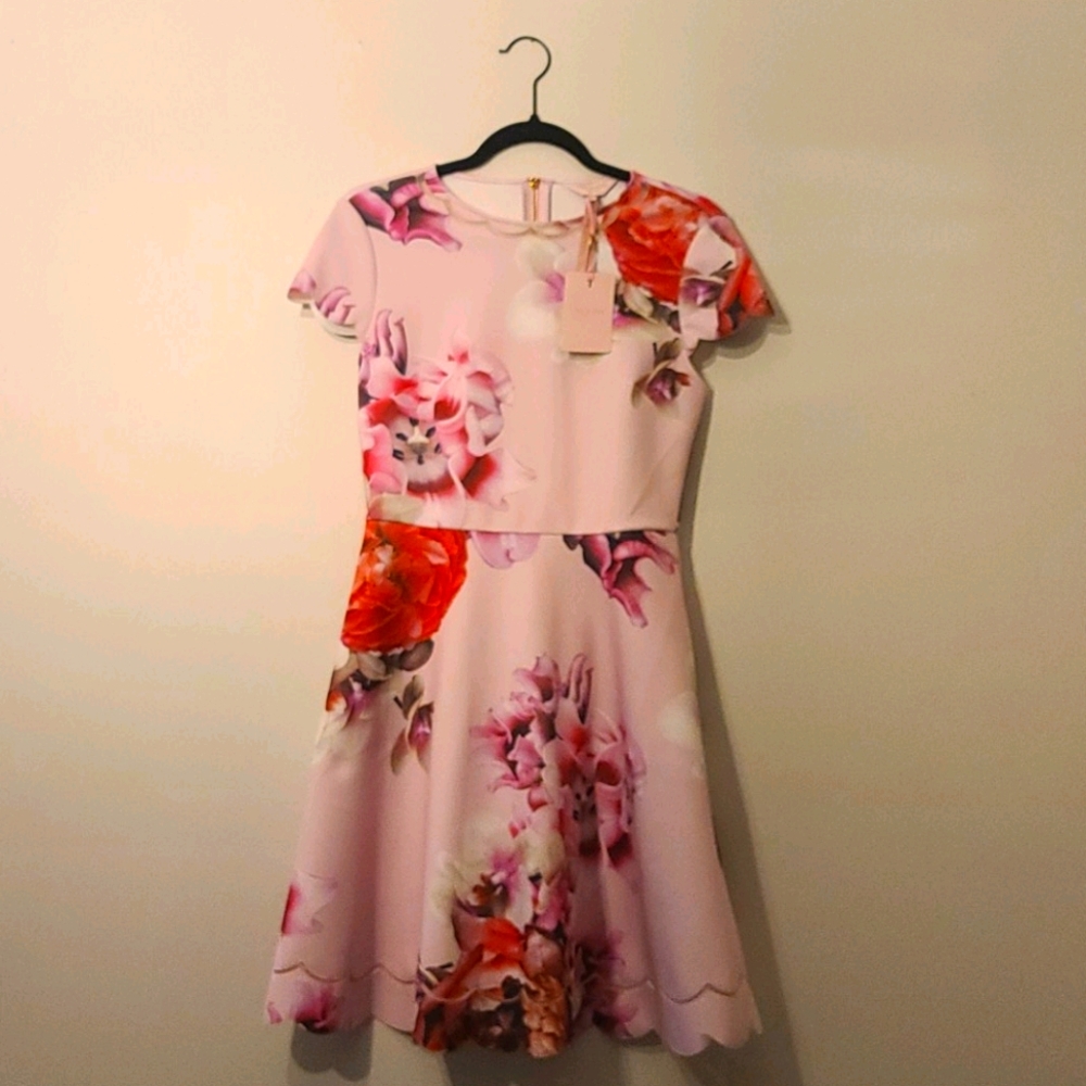 Ted Baker London Light Pink Semana Splendour Dress